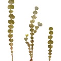 REF201804178647
