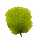 REF201708209803