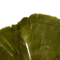 REF201712123347