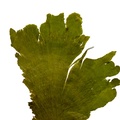 REF201804178613