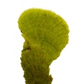 REF201804178622