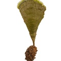 REF201804178789