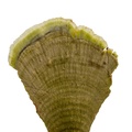 REF201804178793