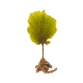 REF201805041686