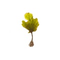 REF201805041698