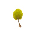 REF201805041702