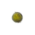 REF201708261150