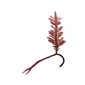 REF201711290236