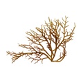 REF201711299711