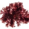 REF201711053608