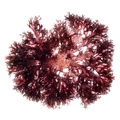REF201711053692
