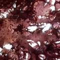 REF201711053703