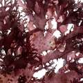 REF201711053710