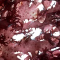 REF201711053719