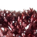 REF201711053727