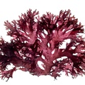 REF201711053769