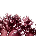 REF201711053829