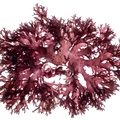 REF201711053835
