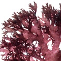 REF201711053848