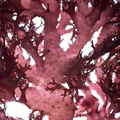 REF201711053853