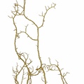 REF201711245798