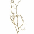 REF201711245802