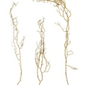 REF201711245806