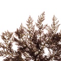 REF201706091165