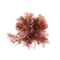 REF201711054186