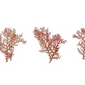 REF201711054208