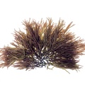 REF201711290094