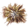 REF201711290096