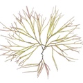 REF201711290111